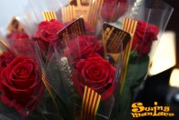23/04/2013 - Sant Jordi
